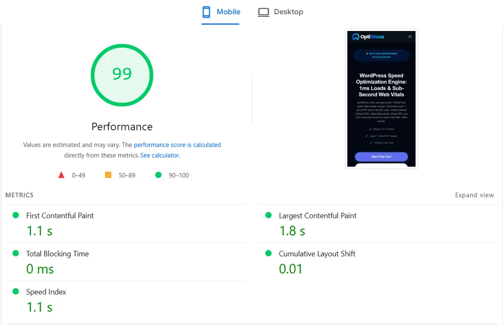 Google PageSpeed Insights overview for WordPress speed optimization guide baseline testing