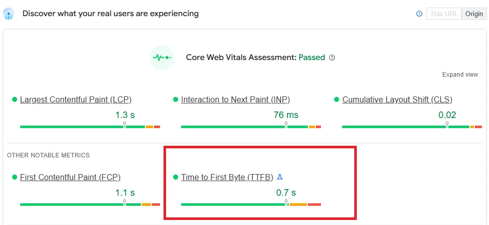 PageSpeed Insights diagnostic report displaying a high Time to First Byte warning for server response time in WordPress.